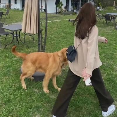爱情傻子